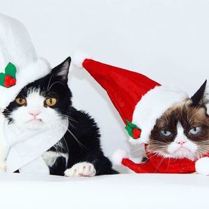 Meet your Posher, Shoko