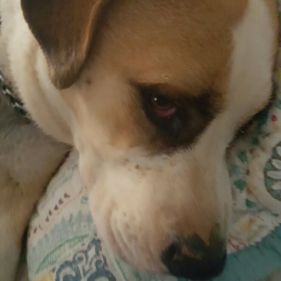 Meet your Posher, Pam - Picture 1 of 1