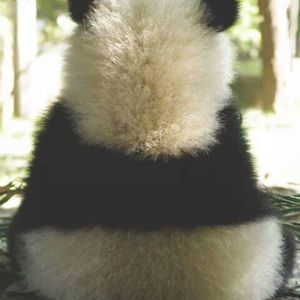 Meet your Posher, Adolfo