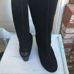 Bear paw knee high suede boot