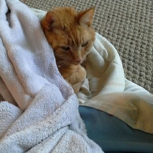 Meet your Posher, Bari