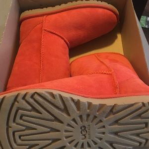 Brand new ugg boots