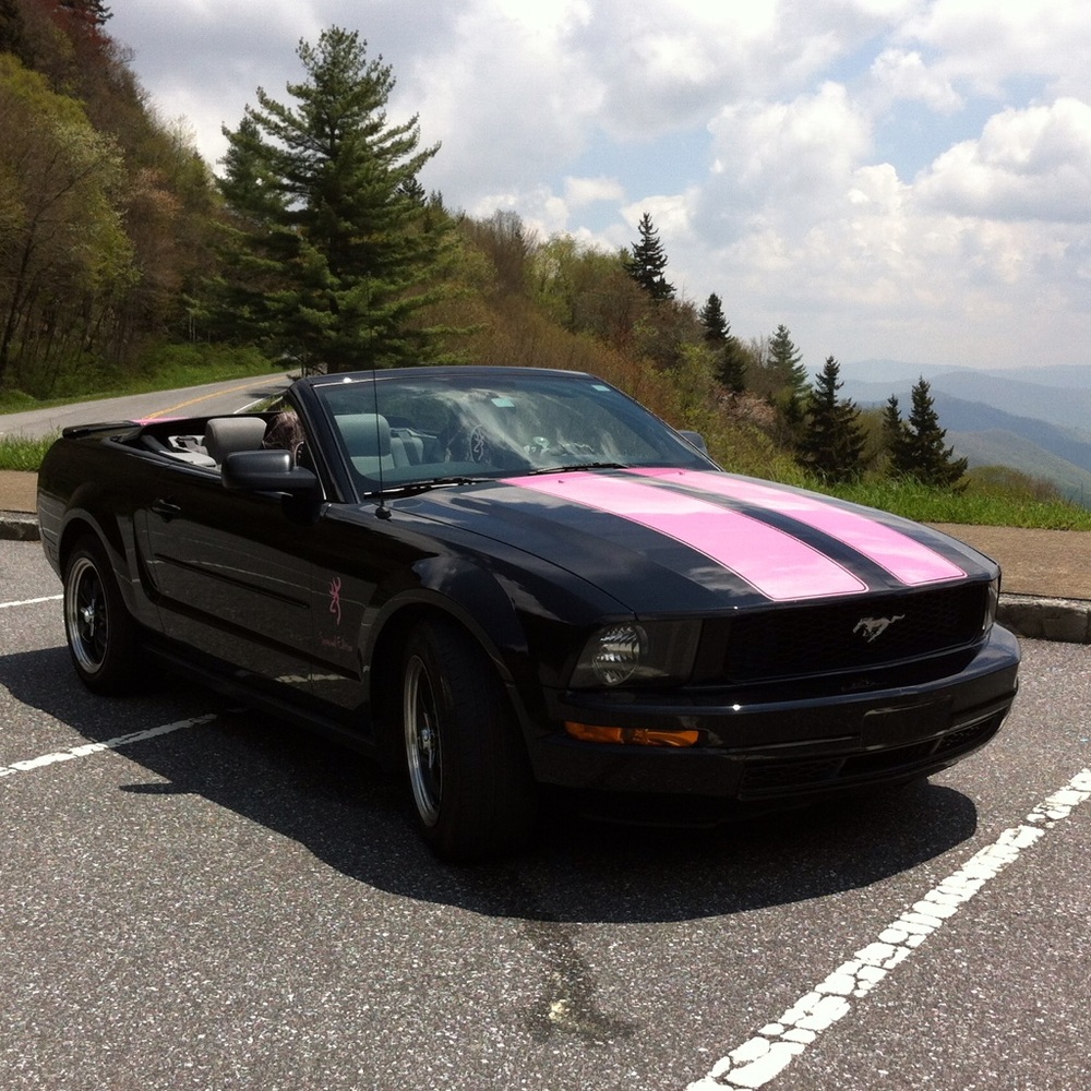 Meet your Posher, Teri