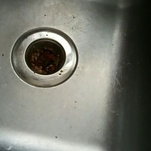 Meet your Posher, Dana