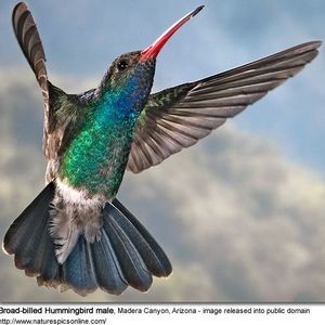 Meet your Posher, Edward