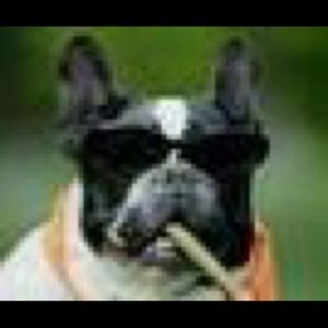 Meet your Posher, Patrick