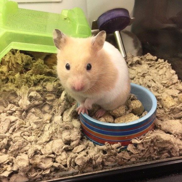 Meet your Posher, Tina