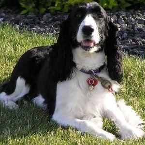 Meet your Posher, Diane