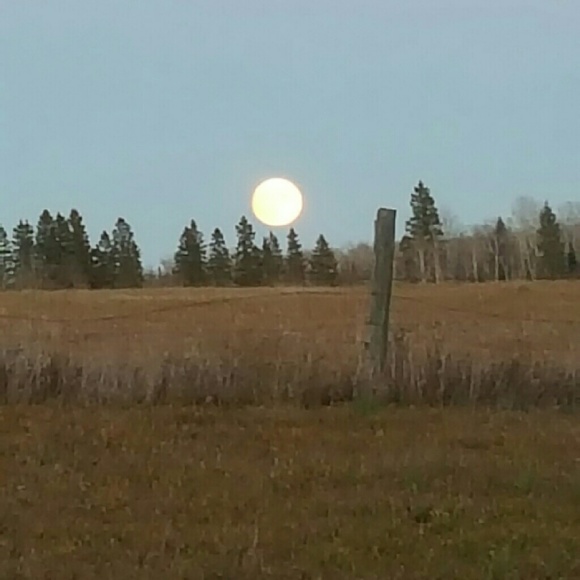 Meet your Posher, Nina