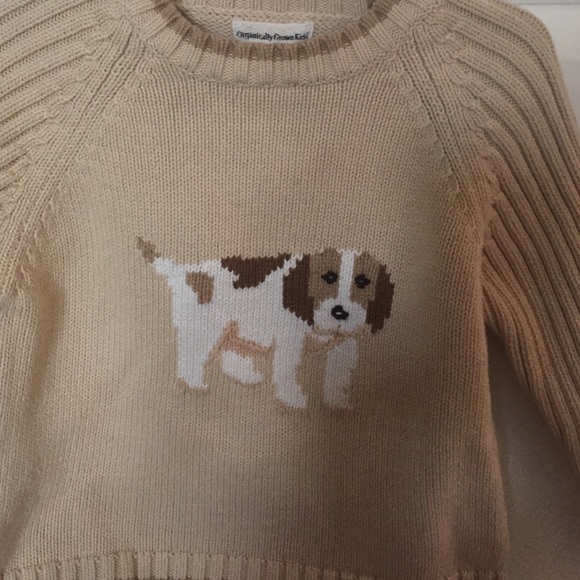 Boys organic cotton sweater