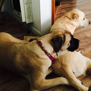 Meet your Posher, Natalie