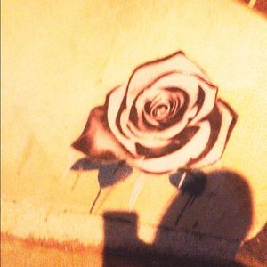 Meet your Posher, Samuel