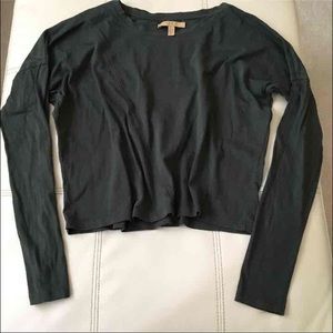 Zara Long Sleeve Crop
