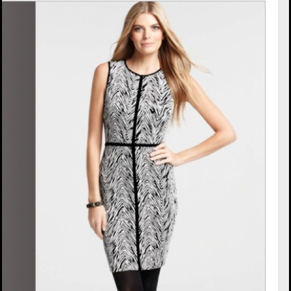 jacquard dress knit 2016 Ann Taylor | Dresses | Size 2p Zebra Sheath BACKLESS LONG DRESSES