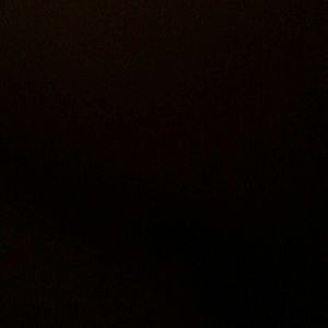 Meet your Posher, Nala