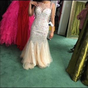 Elegant Dress. Worn for Prom.