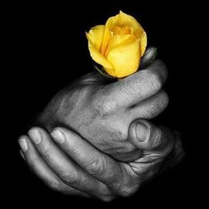 Meet your Posher, Rosa