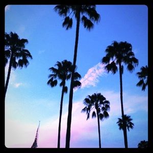 Meet your Posher, Kristin