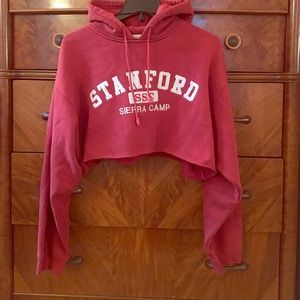 Crop Standford Hoddie