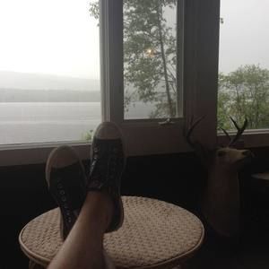 Meet your Posher, Dwight