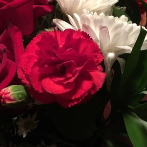 Meet your Posher, Kurtas