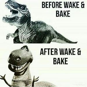 Meet your Posher, Allan