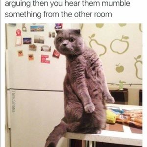 Meet your Posher, Herberr