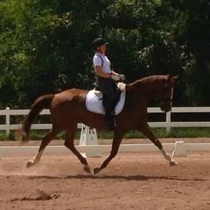 Meet your Posher, Huxley