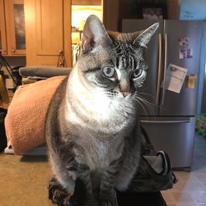 Meet your Posher, Heather