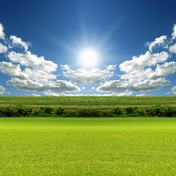 Meet your Posher, Barry - Picture 1 of 1