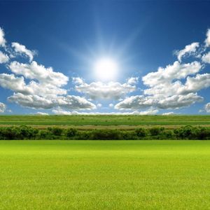 Meet your Posher, Barry