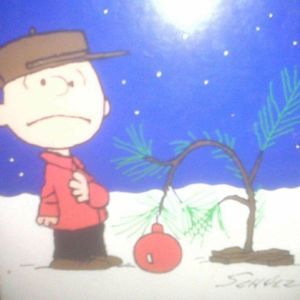 Meet your Posher, Noreen