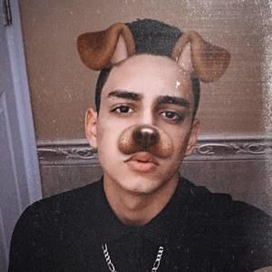 Meet your Posher, German