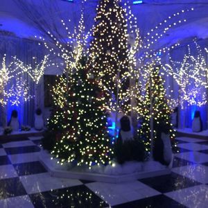 Meet your Posher, Concepcion