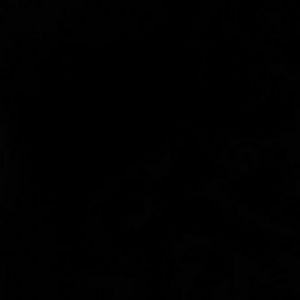 Meet your Posher, Jen?