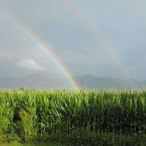 Meet your Posher, Patti