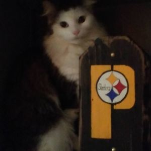 Meet your Posher, Amy