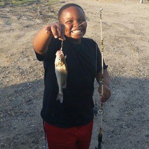 Meet your Posher, Gary