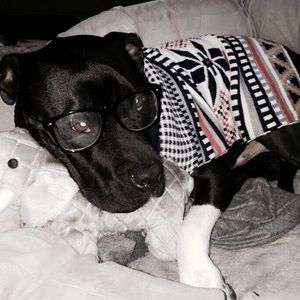 Meet your Posher, Tiffany