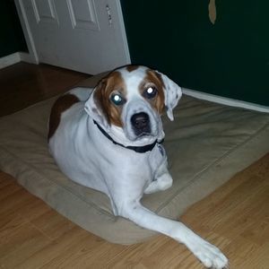 Meet your Posher, Cameron