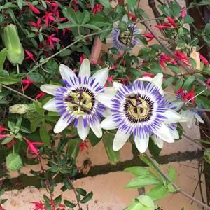 Meet your Posher, Scott