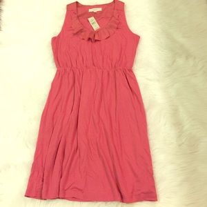 NWT LOFT petites coral dress with collar detailing