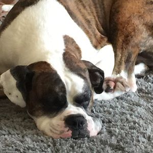 Meet your Posher, Angelina