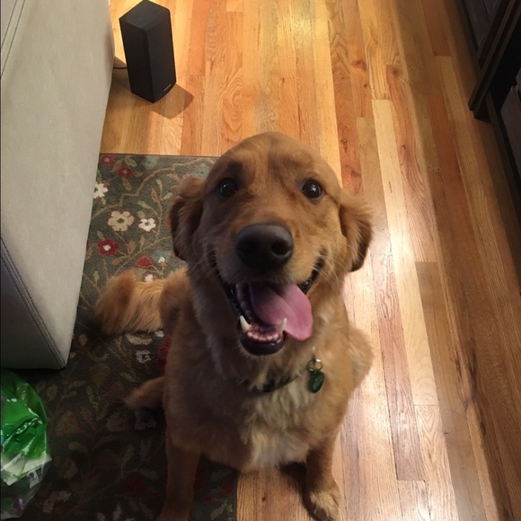 Meet your Posher, Jamie