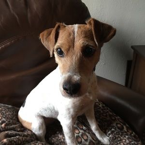 Meet your Posher, Cynthia