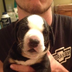 Meet your Posher, Curtis