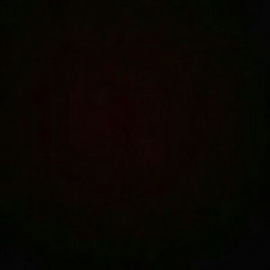 Meet your Posher, Terryn