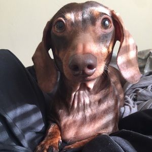 Meet your Posher, Jameson