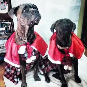 Meet your Posher, Chrissy