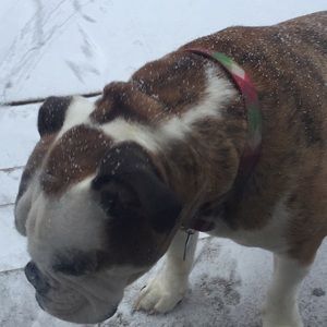 Meet your Posher, Brad